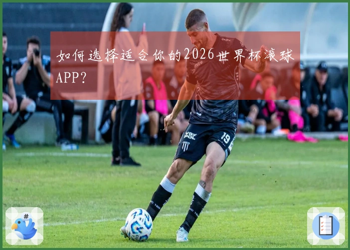 如何选择适合你的2026世界杯滚球APP？