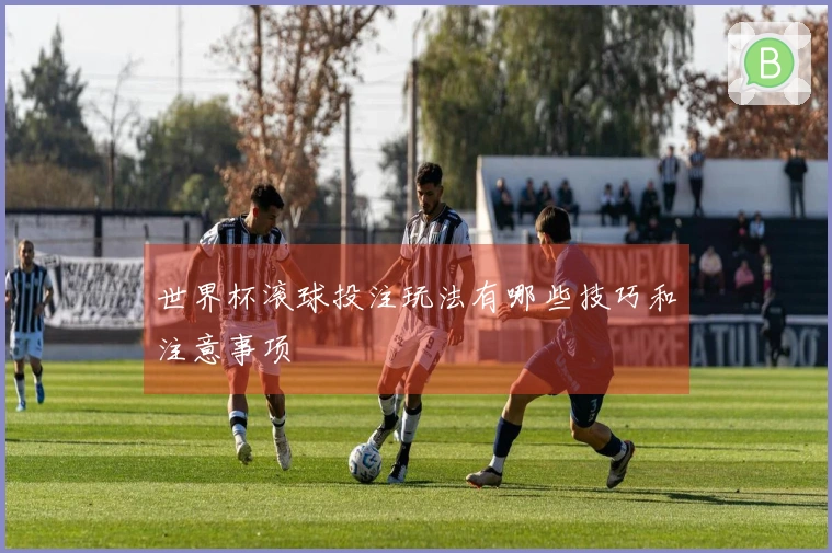 世界杯滚球投注玩法有哪些技巧和注意事项