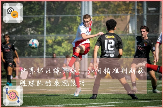 世界杯让球买球：如何精准判断获胜球队的表现技巧