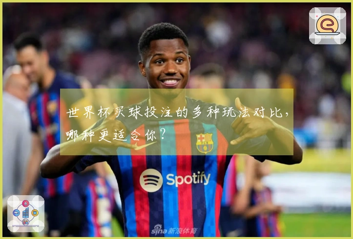 世界杯买球投注的多种玩法对比，哪种更适合你？