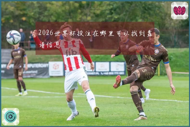2026世界杯投注在哪里可以找到靠谱信息