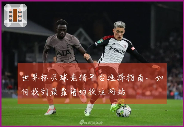 世界杯买球竞猜平台选择指南，如何找到最靠谱的投注网站