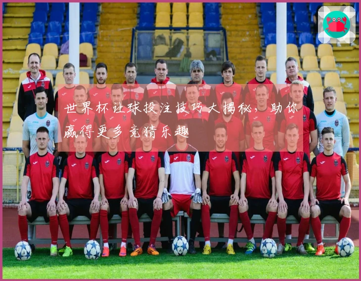 世界杯让球投注技巧大揭秘，助你赢得更多竞猜乐趣