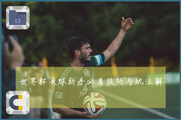 世界杯滚球新手必看技巧与玩法解析
